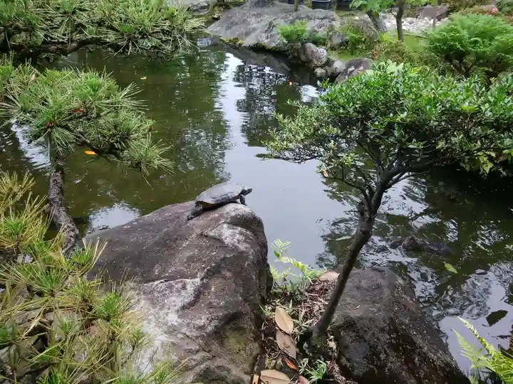 題経寺(柴又帝釈天)(東京都)