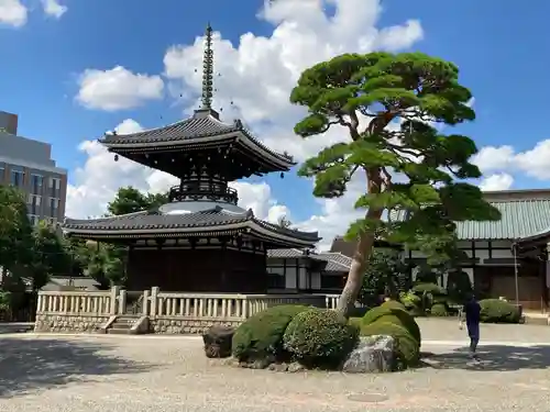 護国寺のその他建物