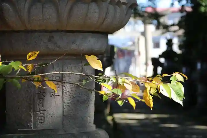 神炊館神社 ⁂奥州須賀川総鎮守⁂の自然