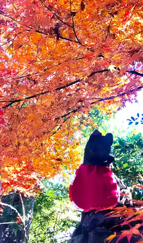 馬橋稲荷神社の狛犬