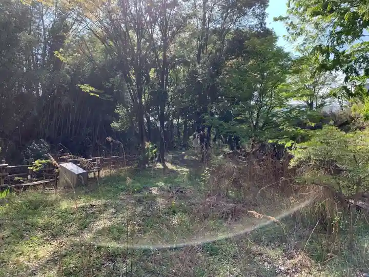 白山権現・弁財天の自然