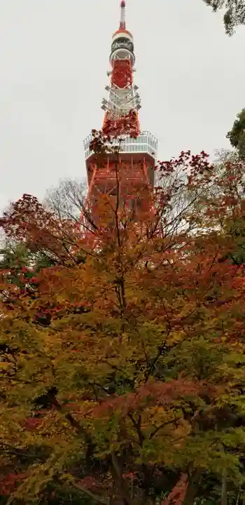 増上寺塔頭 三縁山 宝珠院の周辺