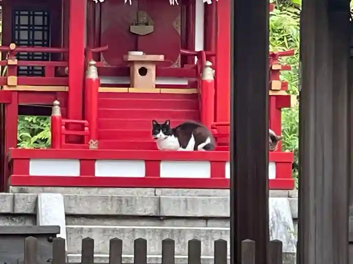 白金氷川神社の御朱印