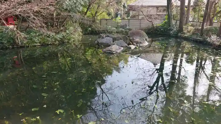 貫井神社の庭園