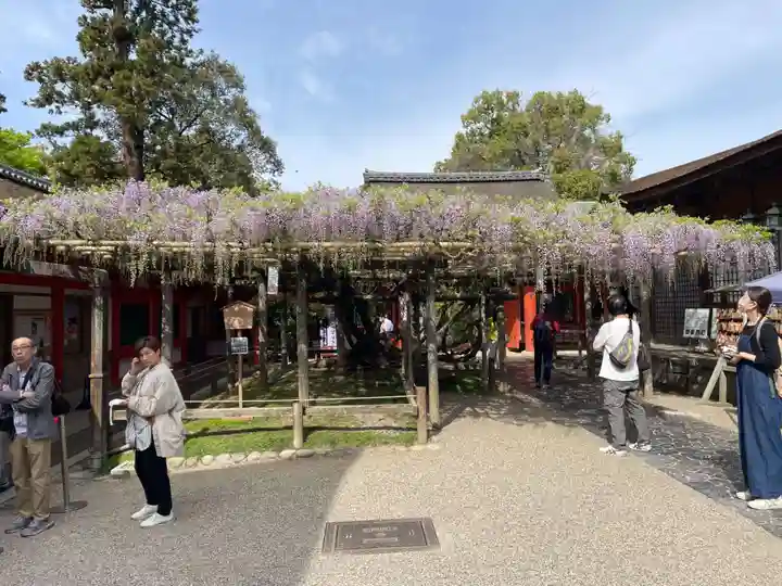 春日大社(奈良県)