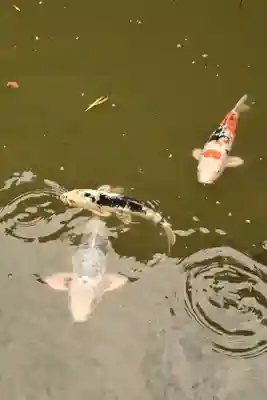 出雲大社北島国造館 出雲教(島根県)