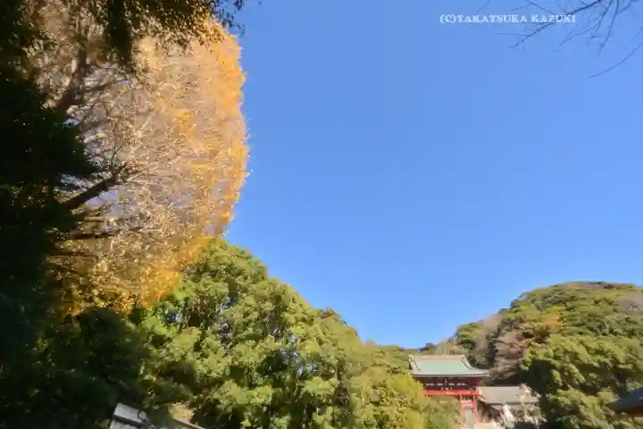 鶴岡八幡宮の景色
