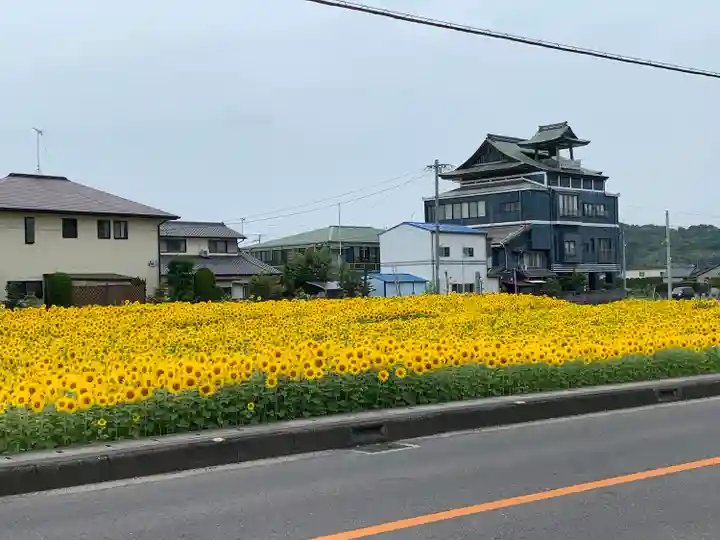冠纓神社の自然