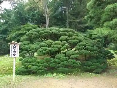 達谷西光寺(岩手県)