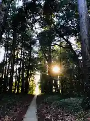 阿弥神社の周辺