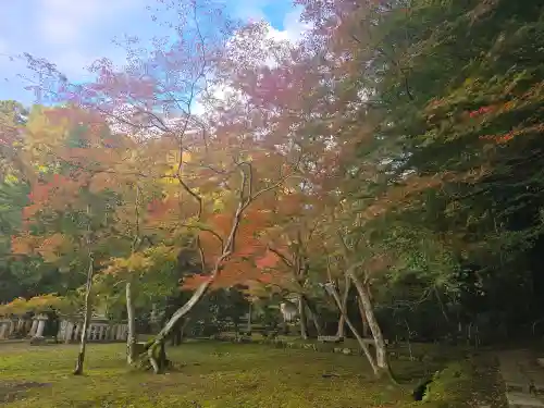 宗鏡寺(兵庫県)