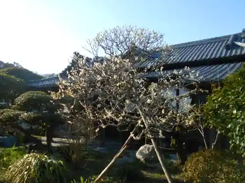 極楽寺（霊鷲山感應院極楽律寺）の景色