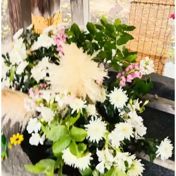 彌彦神社 (伊夜日子神社)(北海道)