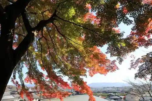 鎌足神社の景色