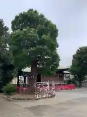 東京羽田 穴守稲荷神社の建物その他