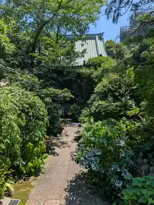 成覚寺(東京都)