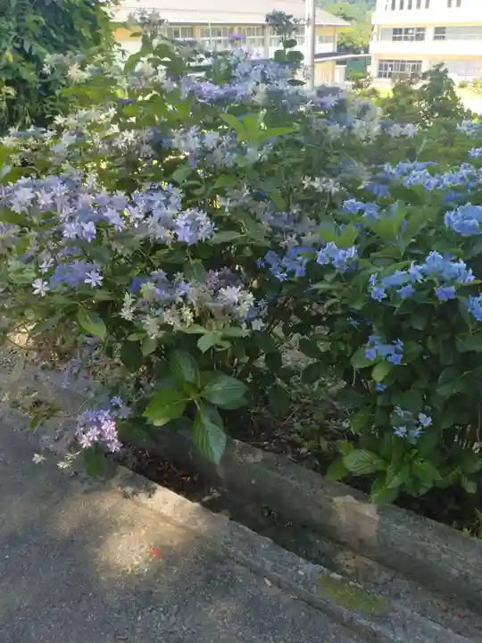 坂本神社(宮城県)