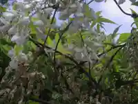 鶴岡八幡宮の自然