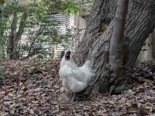 熱田神宮(愛知県)