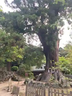 筑波山神社(茨城県)
