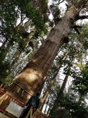 麻賀多神社の自然