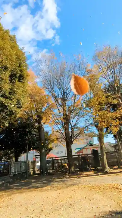 八雲神社 (通五丁目)の自然