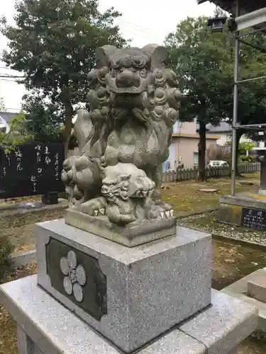 天満神社の狛犬