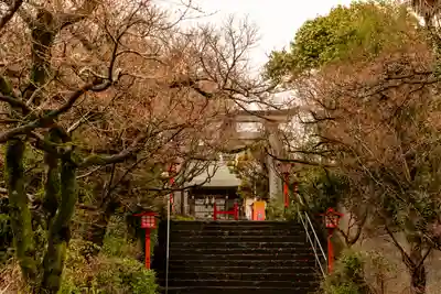 疋野神社(熊本県)