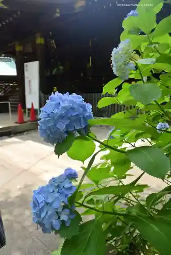渋谷氷川神社(東京都)