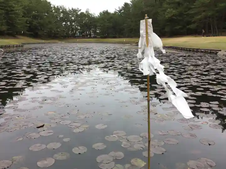 江田神社の自然