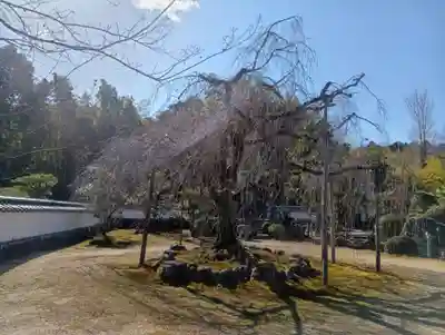 保壽院（保寿院）(岐阜県)