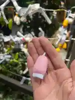 小網神社(東京都)