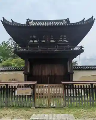 般若寺 ❁﻿コスモス寺❁(奈良県)