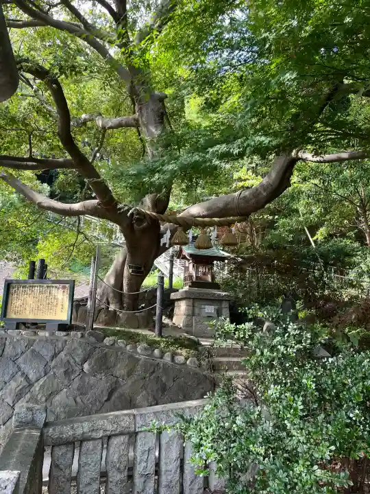 本牧神社(神奈川県)