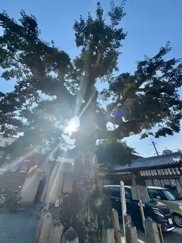 金札宮(京都府)