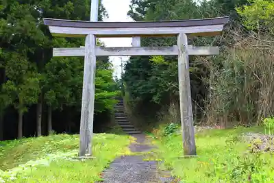 大井神社の鳥居