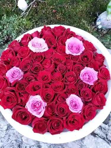 法輪寺の手水舎