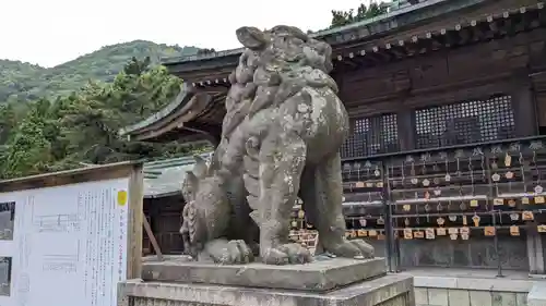 函館八幡宮の狛犬