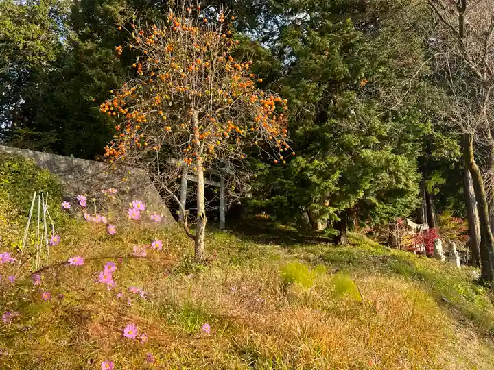 若宮八幡神社(山梨県)