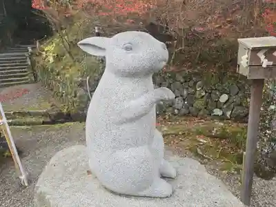 出雲大神宮(京都府)