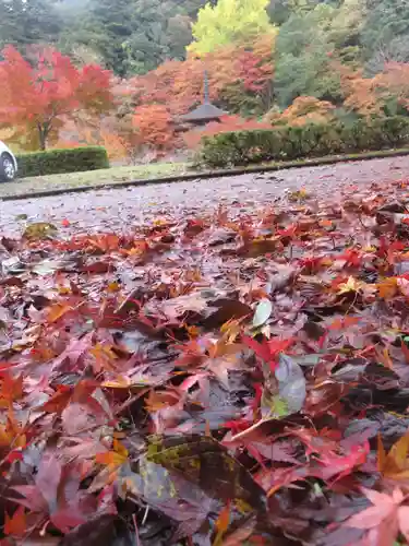 金剛院(京都府)