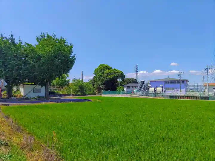 神明社(甲新田須賀北)の自然