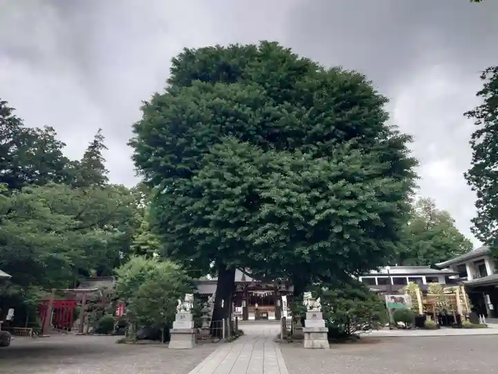 亀ケ池八幡宮(神奈川県)