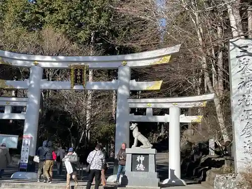 三峯神社(埼玉県)