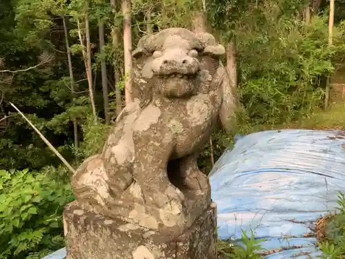 天御中主神社の狛犬