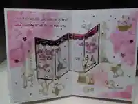 小野照崎神社の御朱印