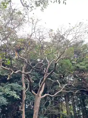 椿ノ海　水神社(千葉県)