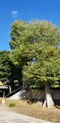 愛宕神社の自然