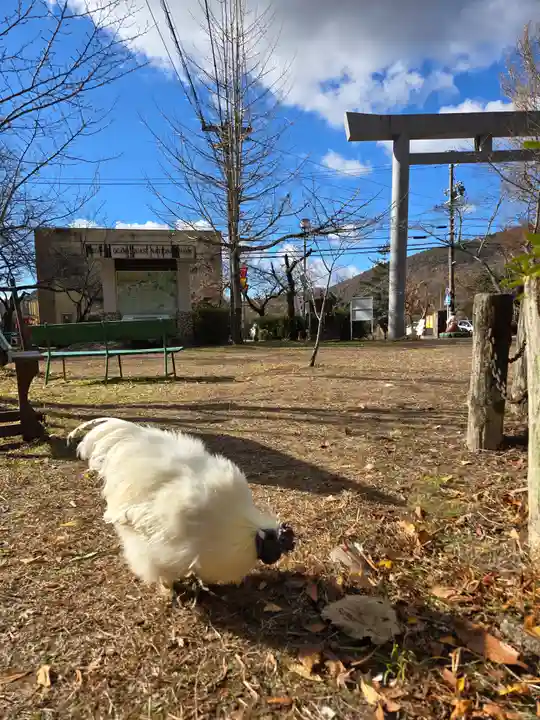 桃太郎神社(栗栖)(愛知県)