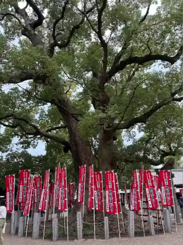 住吉大社(大阪府)